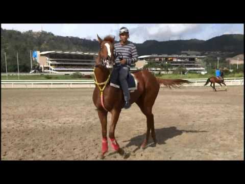 El doble coronado Ocean Bay saliendo a caminar