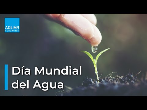 💧DÍA MUNDIAL del AGUA💧 | 22 de Marzo